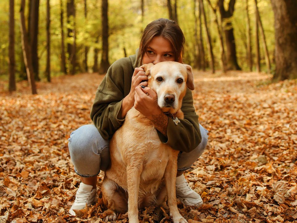 Woman hugging dog with autumn forest background